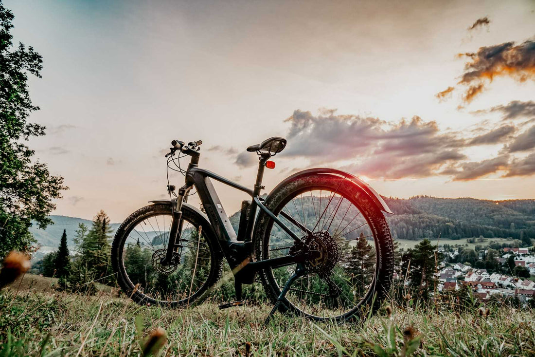 eBike vs. Speed Pedelec: What Are the Differences?