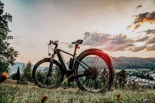 eBike vs. Speed Pedelec: What Are the Differences?