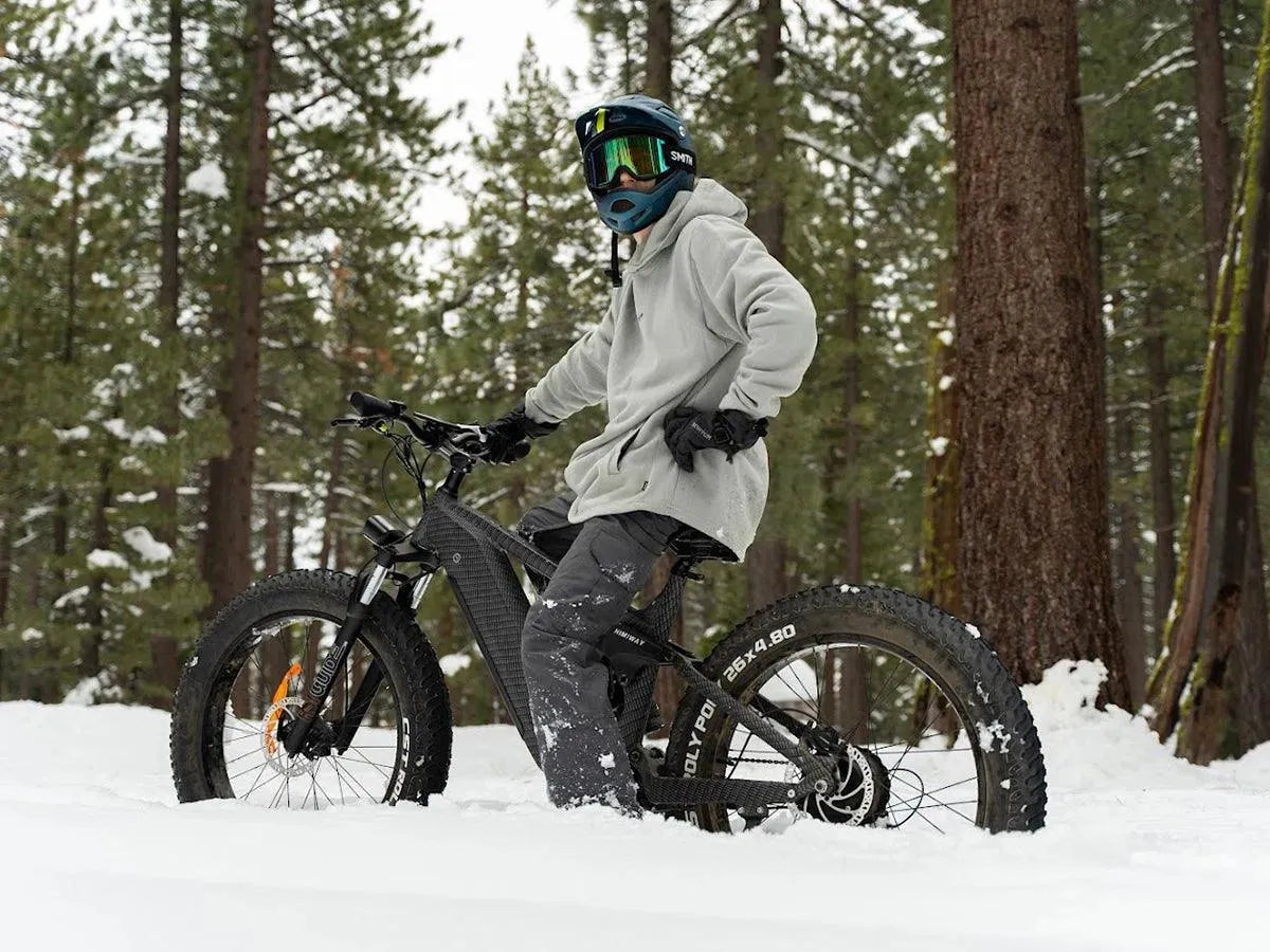 Himiway Cobra D7 Electric Bike 1000W All Terrain Super Fat Tires and Full Suspension Off-Road Hunting