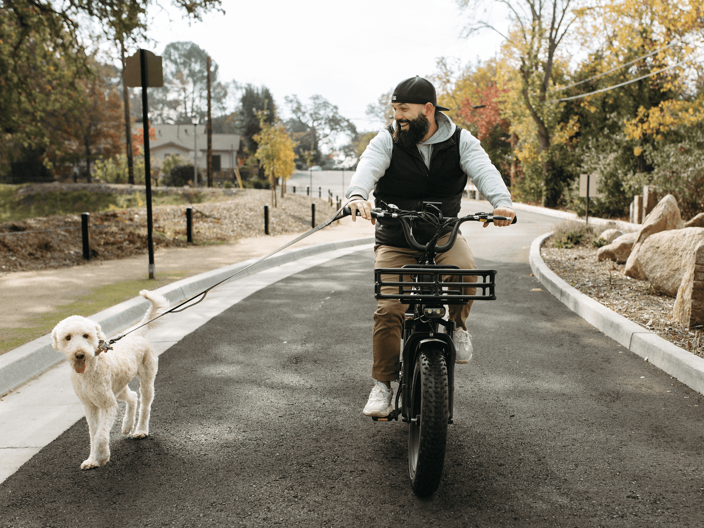 Himiway Big Dog 750W Long Range Electric Cargo Bike