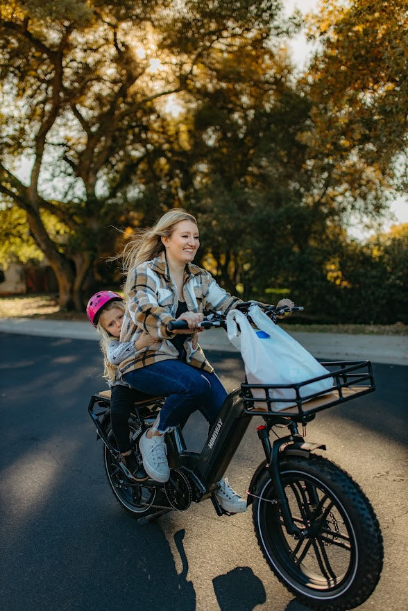 Himiway Big Dog 750W Long Range Electric Cargo Bike