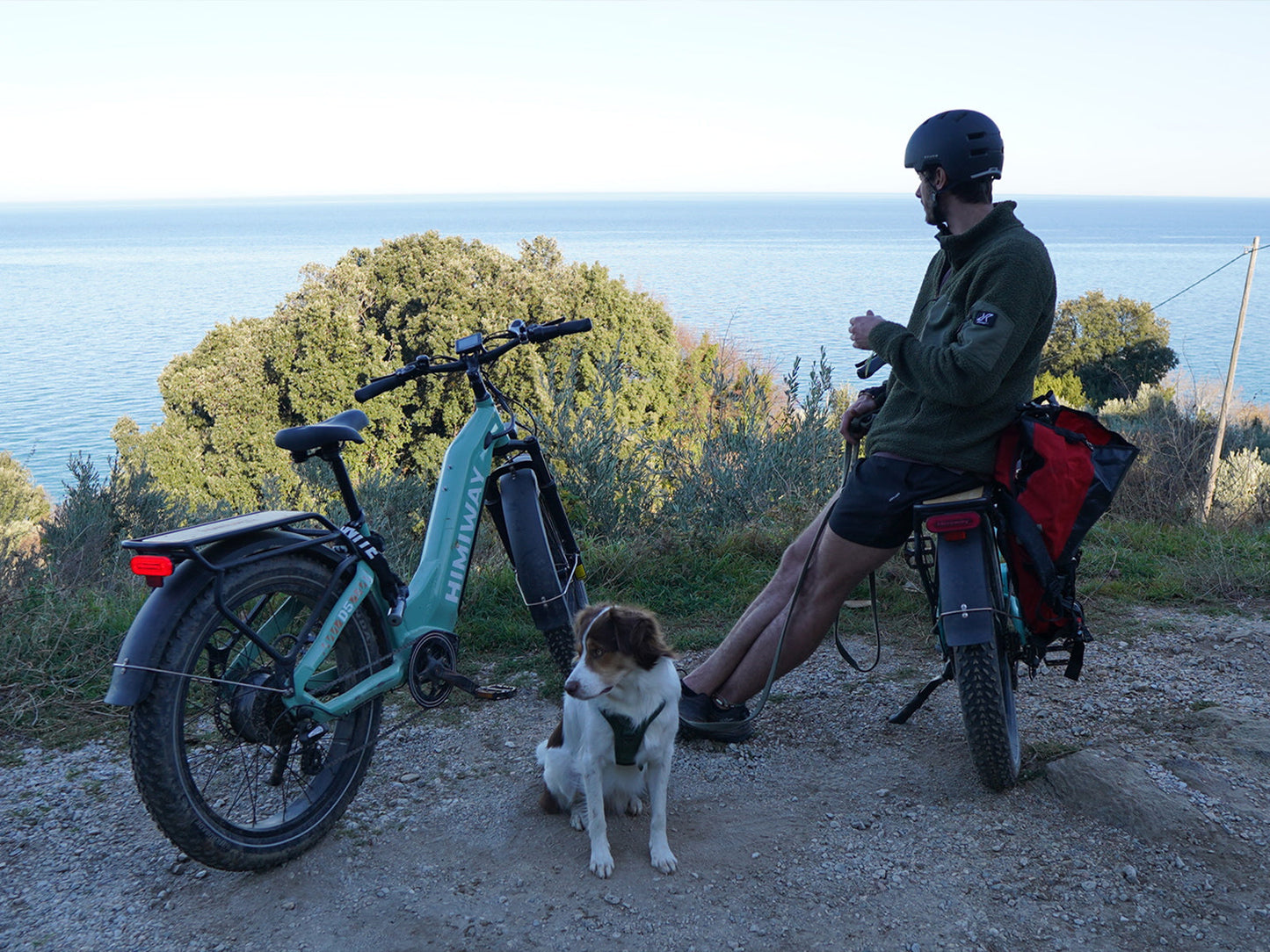 Himiway Zebra D5 Premium All-Terrain 750W Fat Tire Electric Bike