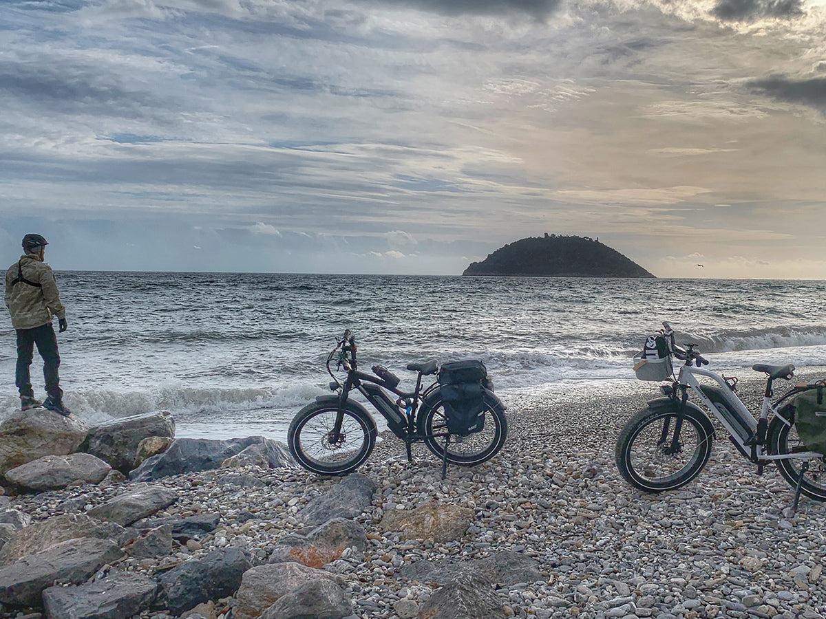 Himiway Cruiser D3 Long Range 750W Fat Tire Electric Bike