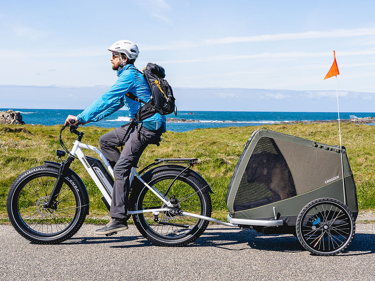 Himiway Cruiser D3 Step-Thru Long Range All Terrain 750W Electric Bike