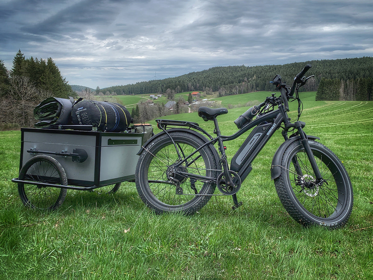 Himiway Cruiser D3 Long Range 750W Fat Tire Electric Bike
