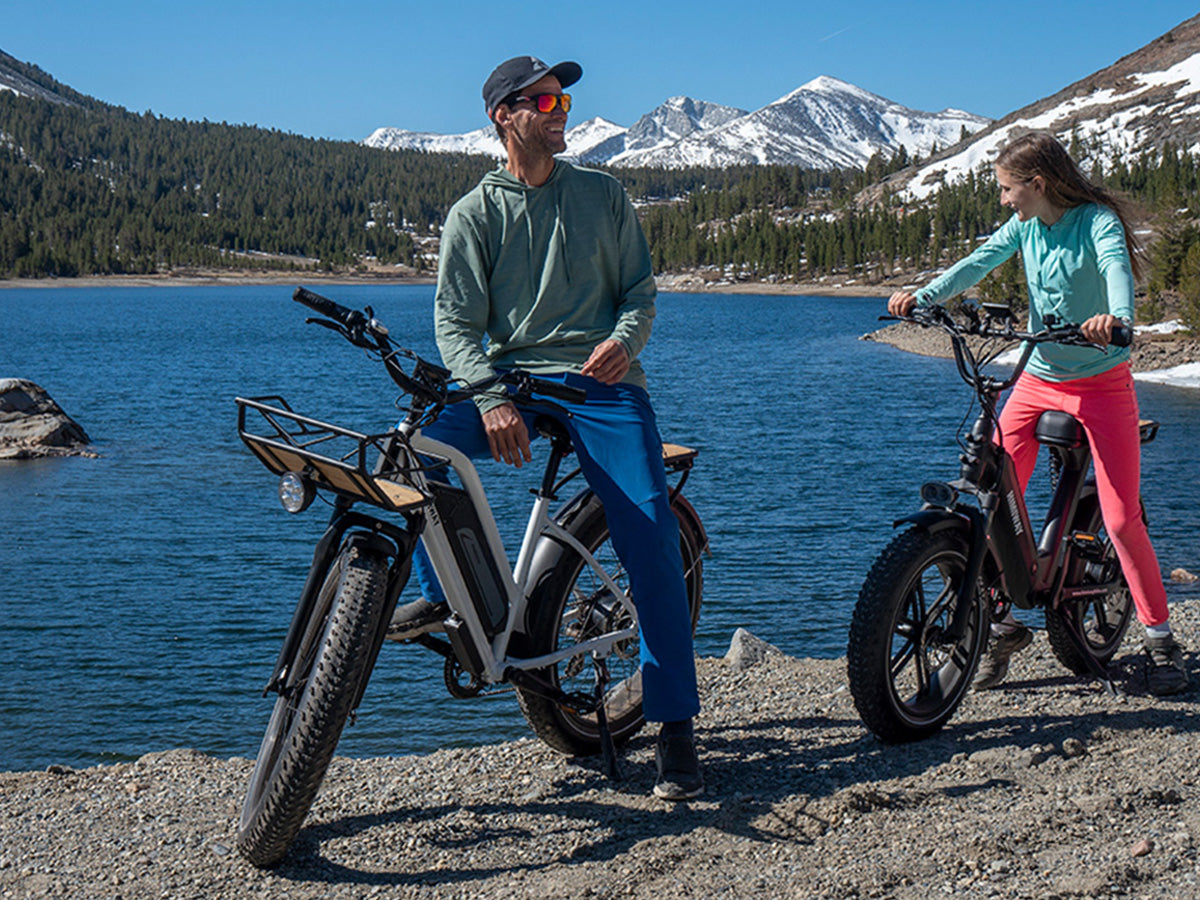 Himiway Cruiser D3 Step-Thru Long Range All Terrain 750W Electric Bike