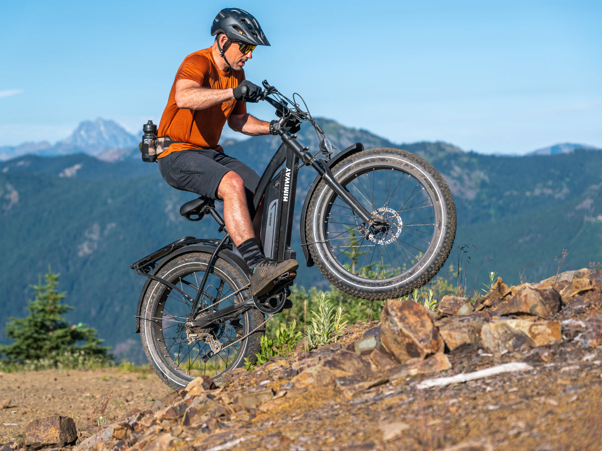 Himiway Cruiser D3 Long Range 750W Fat Tire Electric Bike