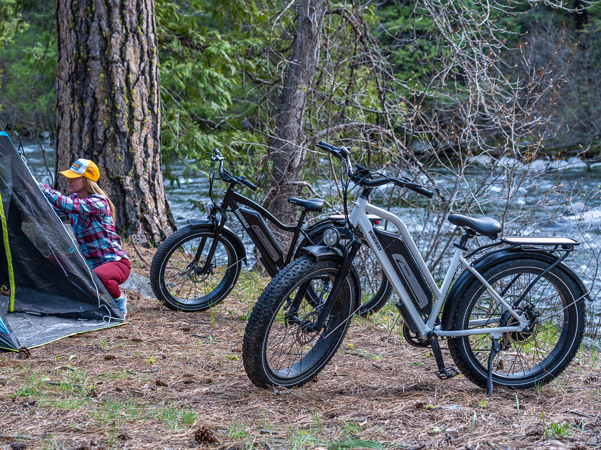 Himiway Cruiser D3 Step-Thru Long Range All Terrain 750W Electric Bike