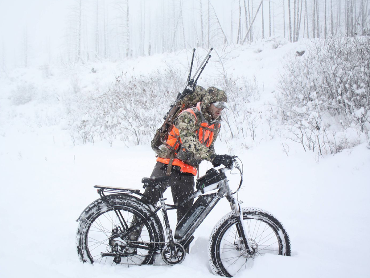 Himiway Cruiser D3 Long Range 750W Fat Tire Electric Bike