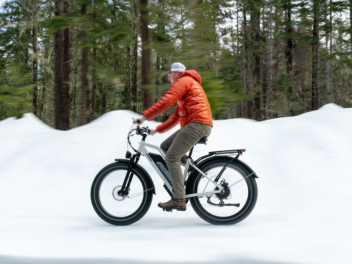 Himiway Cruiser D3 Step-Thru Long Range All Terrain 750W Electric Bike
