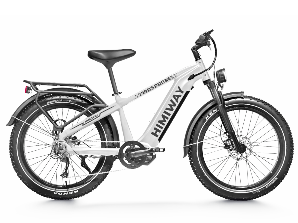 Himiway Zebra D5 Premium All-Terrain 750W Fat Tire Electric Bike