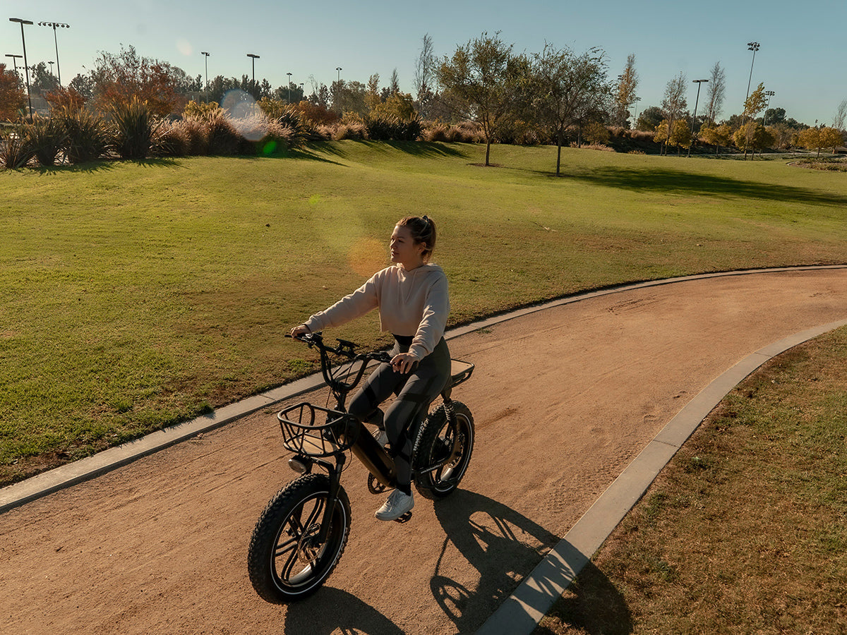 Himiway Escape Pro 750W Long Range Full Suspension Moped-style Electric Bike