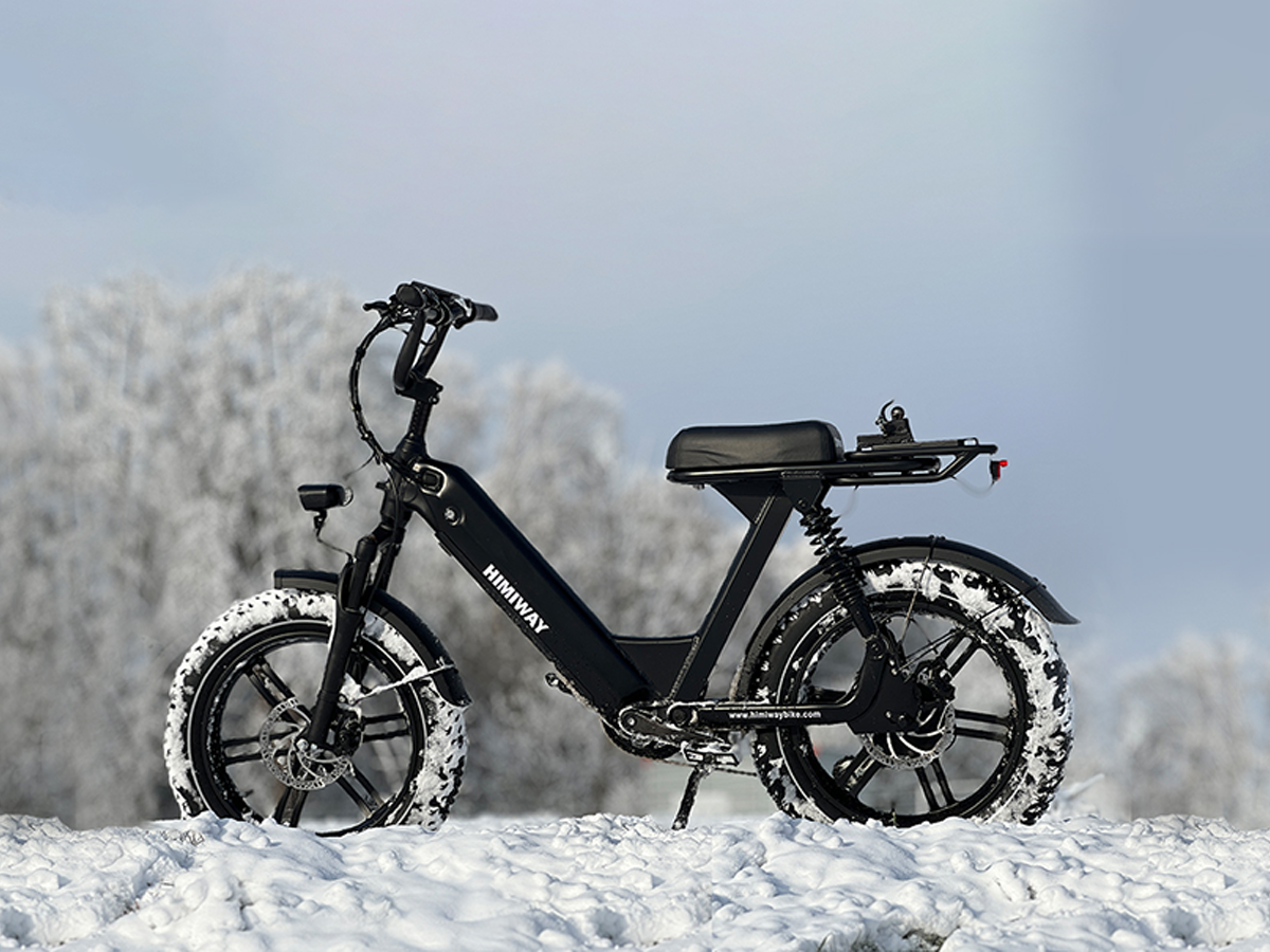 Himiway Escape Pro 750W Long Range Full Suspension Moped-style Electric Bike