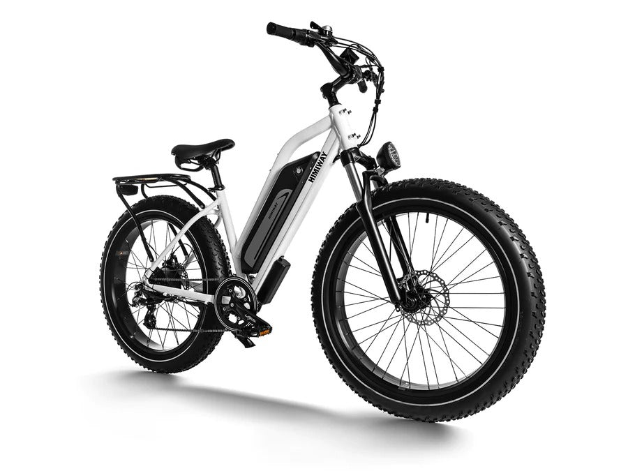 Himiway Cruiser D3 Step-Thru Long Range All Terrain 750W Electric Bike