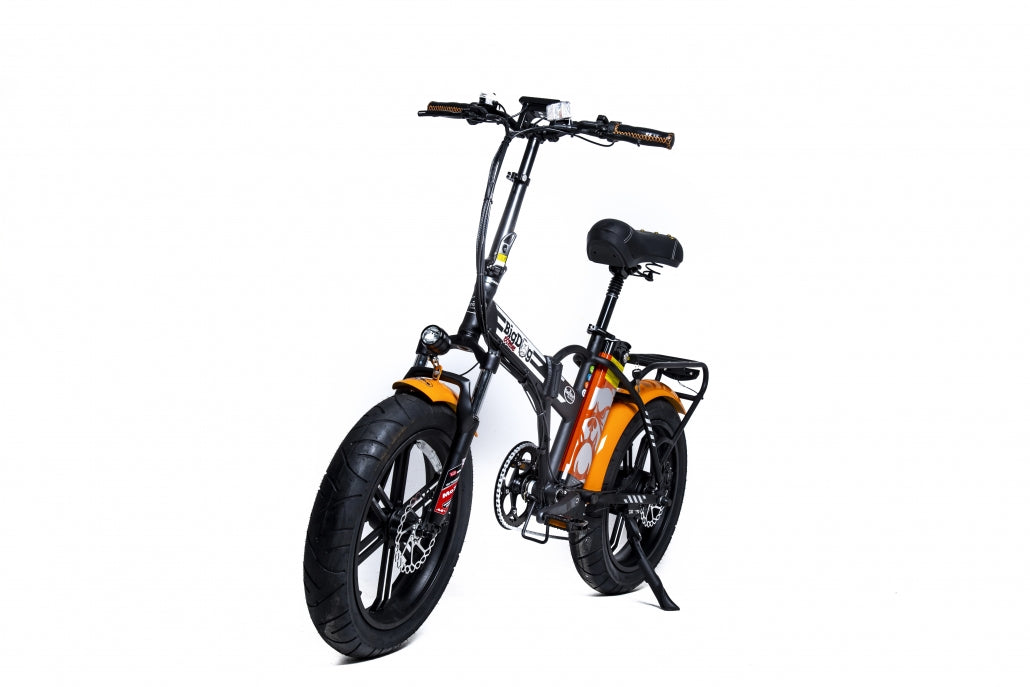 Green Bike Electric Bike Big Dog Extreme 20" Folding Fat Tire Ebike 750W 48V LCD Display