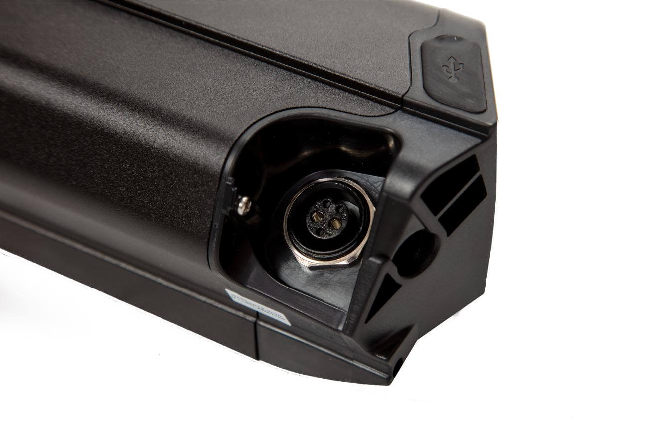 Bakcou 48V21ah Battery