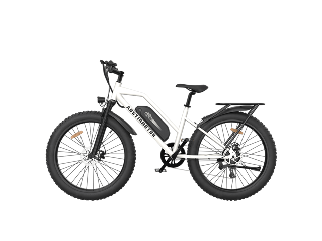 Aostirmotor S07-G Fat Tire Step Thru City Commuter 750W Ebike