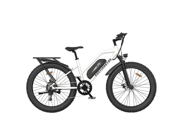 Aostirmotor S07-G Fat Tire Step Thru City Commuter 750W Ebike