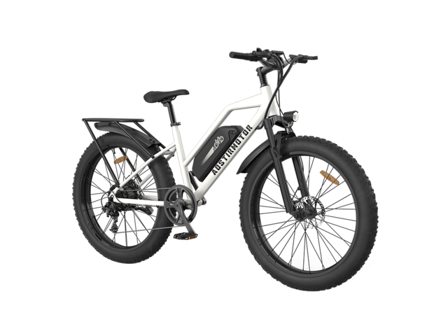 Aostirmotor S07-G Fat Tire Step Thru City Commuter 750W Ebike