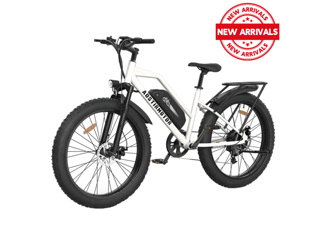 Aostirmotor S07-G Fat Tire Step Thru City Commuter 750W Ebike