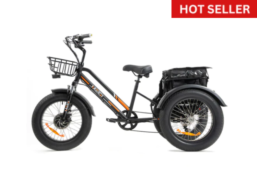 Daywins (DWMEIGI) MG1703 48V 750W Step Thru Electric Fat Tire Trike for Balance and Comfort