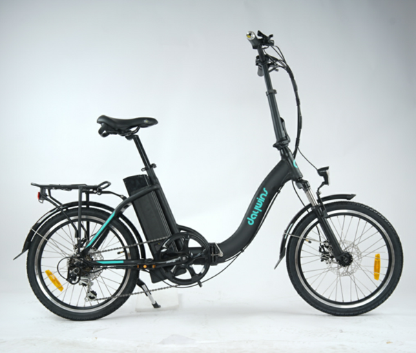 DWMEIGI DW7609 36V 250W Electric Folding Bike