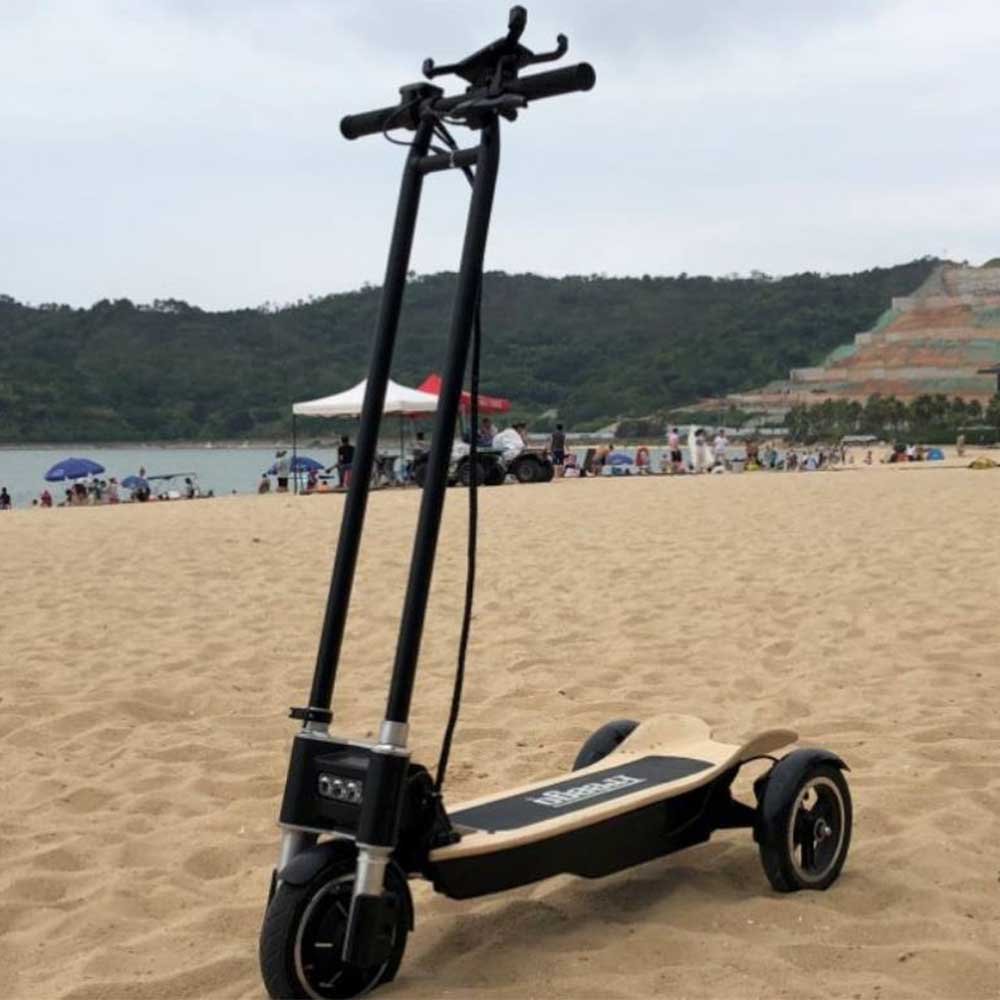 Freego ES-10X 3-wheel Electric Folding Scooter 500W Motor for Adult