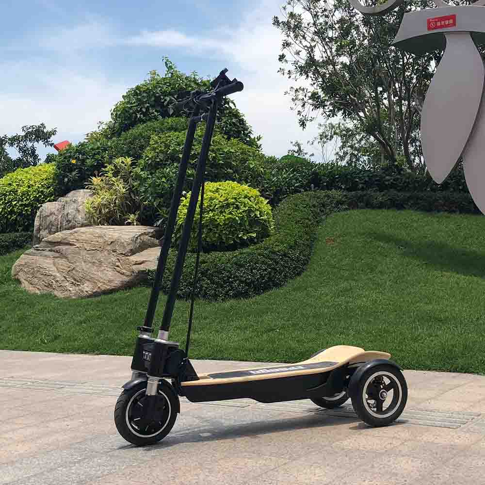 Freego ES-10X 3-wheel Electric Folding Scooter 500W Motor for Adult