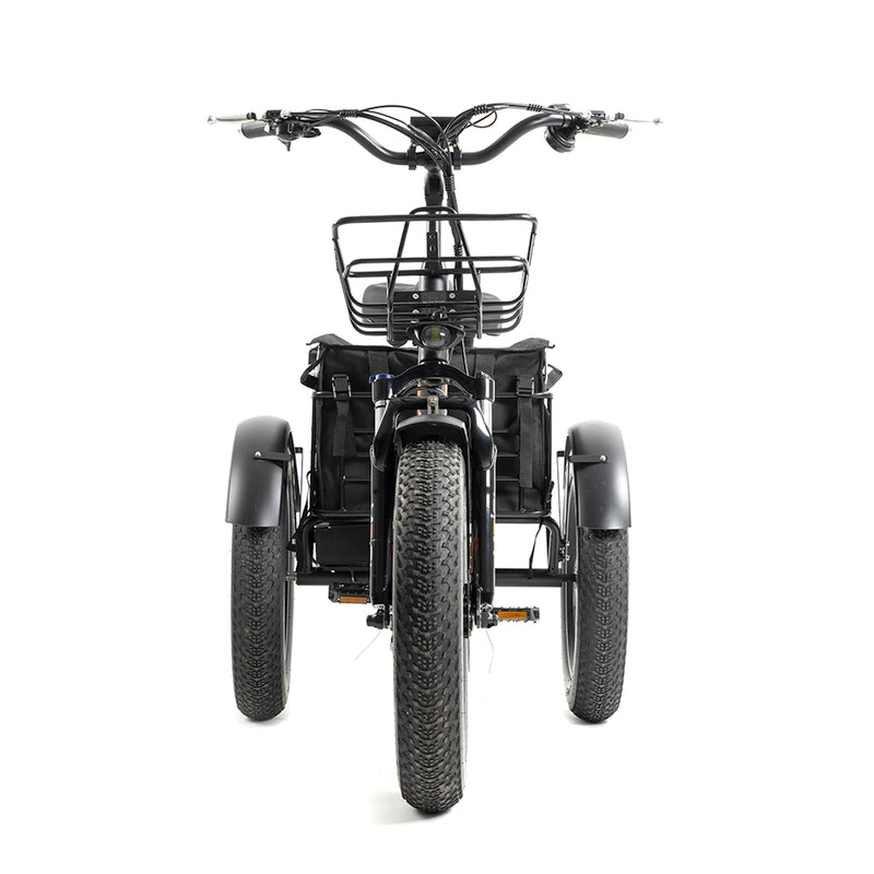 Daywins (DWMEIGI) MG1703 48V 750W Step Thru Electric Fat Tire Trike for Balance and Comfort