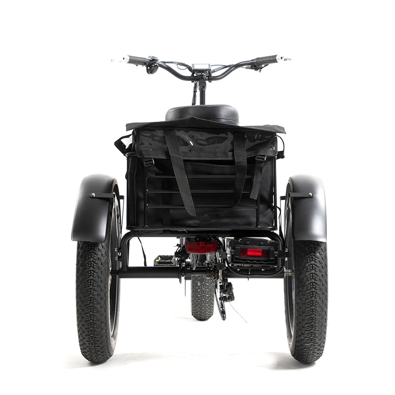 Daywins (DWMEIGI) MG1703 48V 750W Step Thru Electric Fat Tire Trike for Balance and Comfort