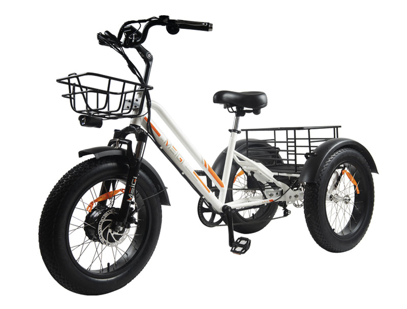 Daywins (DWMEIGI) MG1703 48V 750W Step Thru Electric Fat Tire Trike for Balance and Comfort