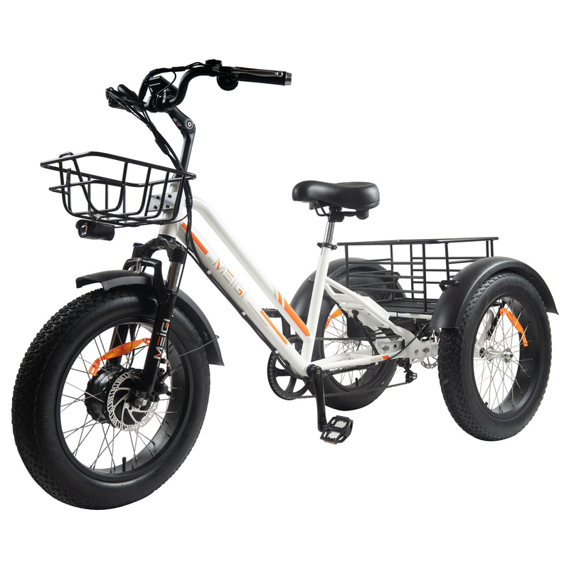 Daywins (DWMEIGI) MG1703 48V 750W Step Thru Electric Fat Tire Trike for Balance and Comfort
