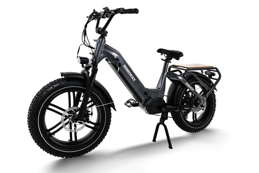 Himiway Big Dog 750W Long Range Electric Cargo Bike