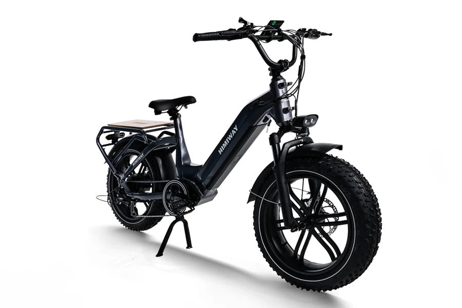 Himiway Big Dog 750W Long Range Electric Cargo Bike
