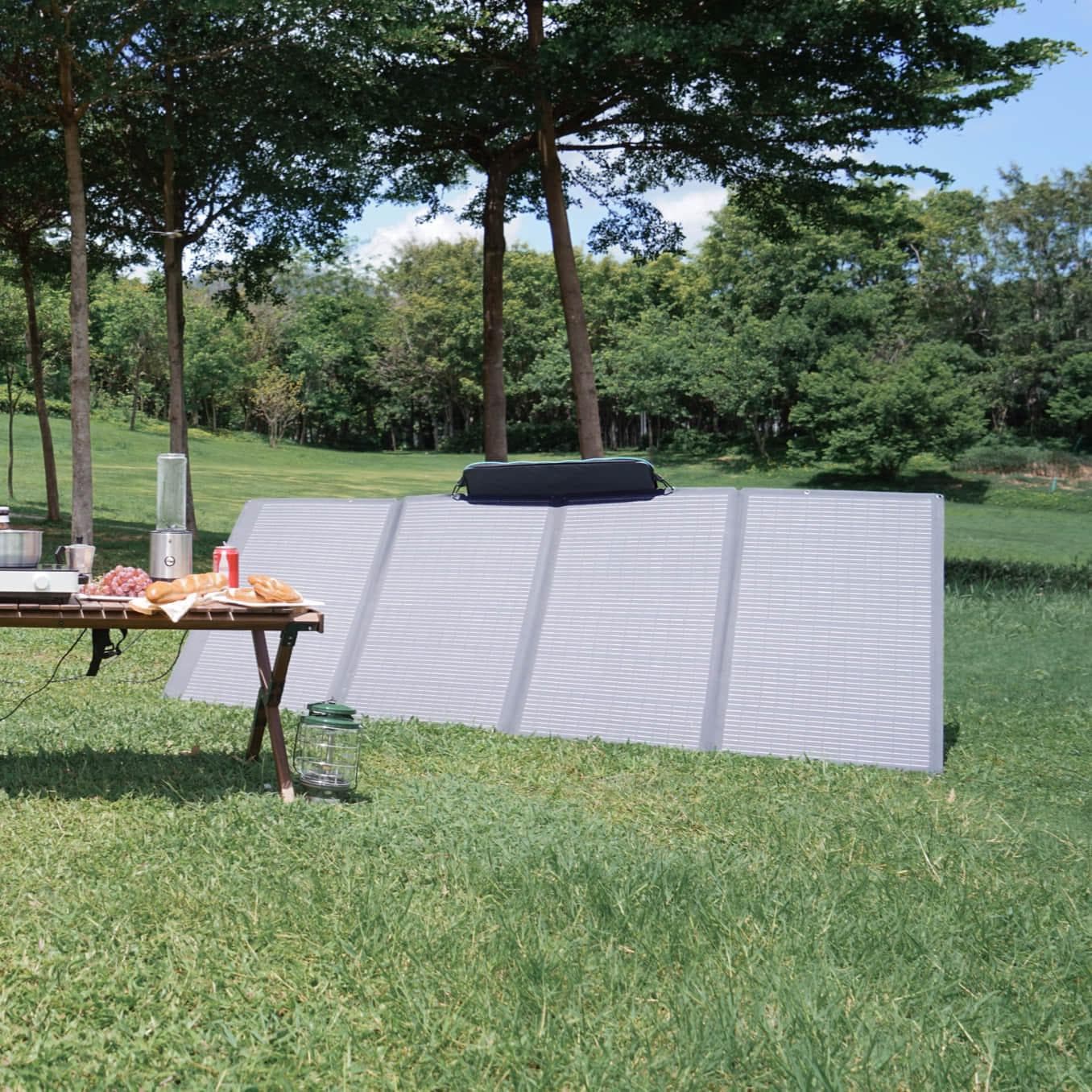 EcoFlow 400W Portable Solar Panel (2 Panels) - Foldable & Durable, Adjustable Kickstand Case, Waterproof for Outdoor Adventures