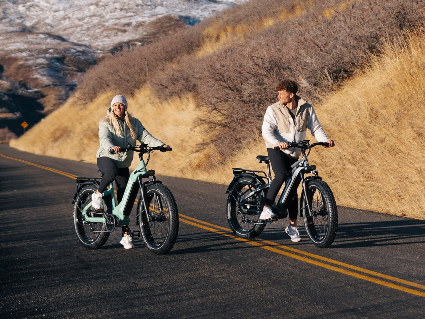 Himiway Zebra D5 Premium All-Terrain 750W Fat Tire Electric Bike