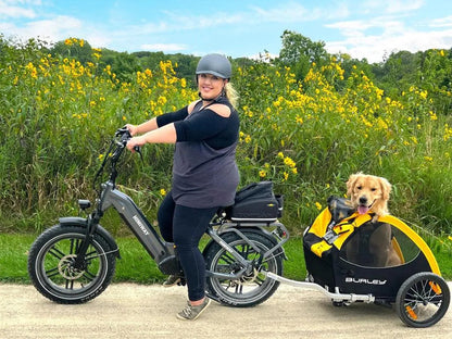 Himiway Big Dog 750W Long Range Electric Cargo Bike