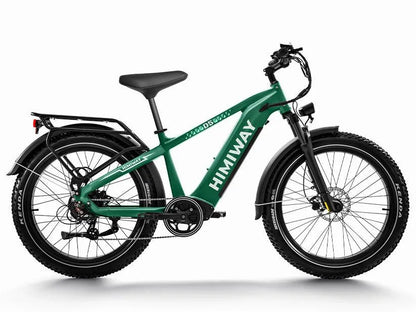 Himiway Zebra D5 Premium All-Terrain 750W Fat Tire Electric Bike