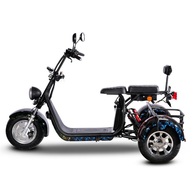 SoverSky T7.1 2000W 25PMH 20AH/40AH Electric Mobility Adult Trike