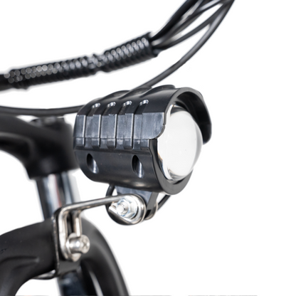 Rattan Challenger 350W Motor 48V 10.4 AH Battery Electric Mountain Bike