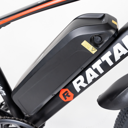 Rattan Challenger 350W Motor 48V 10.4 AH Battery Electric Mountain Bike