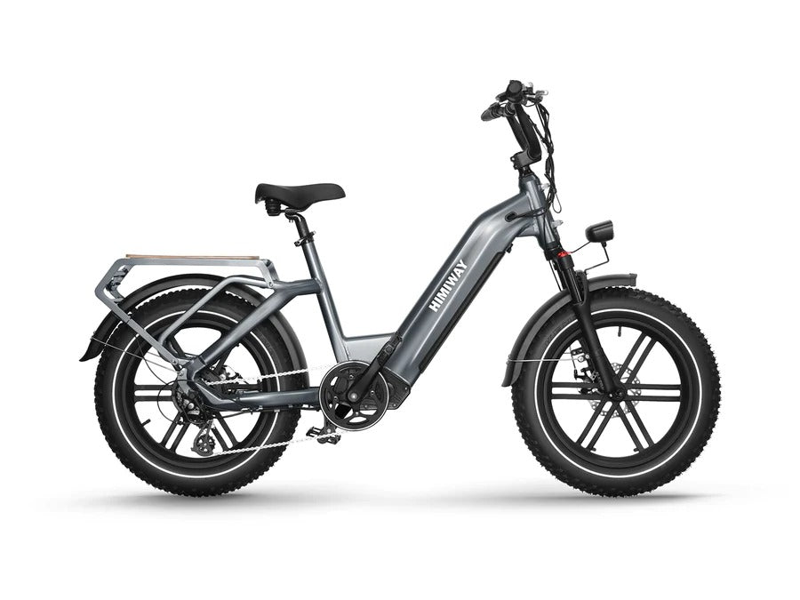 Himiway Big Dog 750W Long Range Electric Cargo Bike