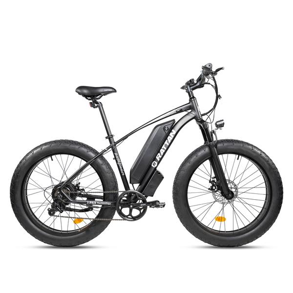 Rattan Pathfinder 750W Motor 48V 13AH Battery Fat Tire Electric Mountain Bike