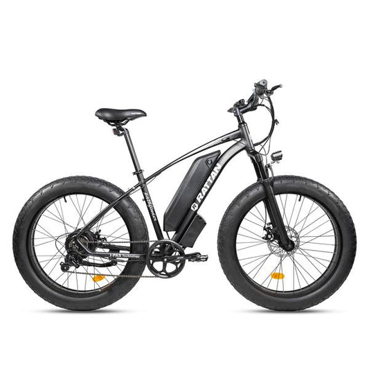 Rattan Pathfinder 750W Motor 48V 13AH Battery Fat Tire Electric Mountain Bike