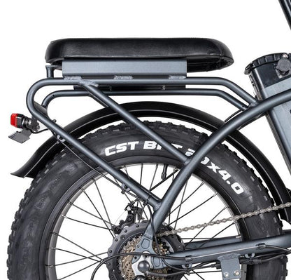 Rattan LM 750W Motor 48V 13AH Battery Fat Tire Foldable Electric Bike
