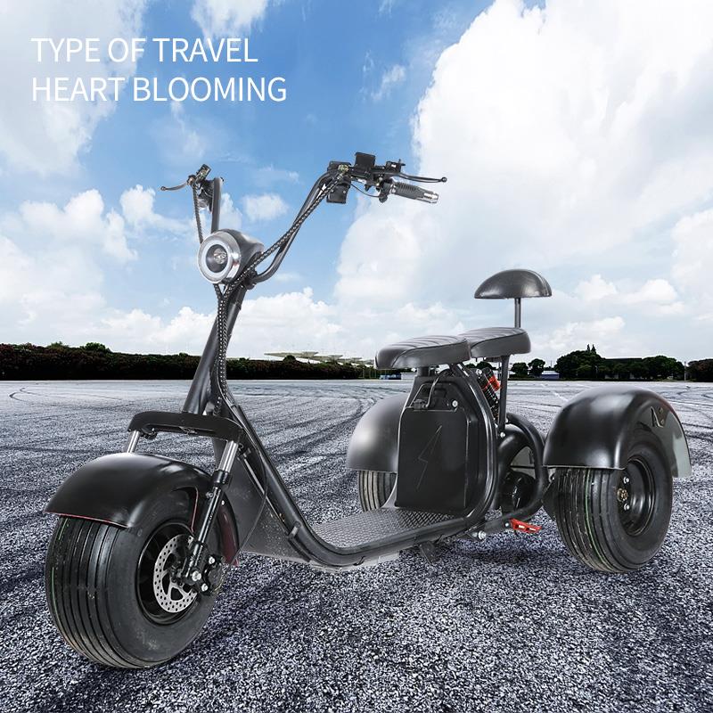 SoverSky T7.0 2000W 20MPH Electric Fat Tire Mobility Trike Scooter