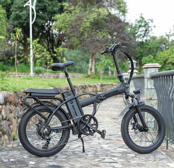 Rattan LM 500W Pro Motor 48V 13AH Battery Fat Tire Foldable Electric Bike