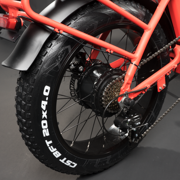 Rattan LF 750W Motor 48V 13AH Battery Fat Tire Foldable Electric Bike