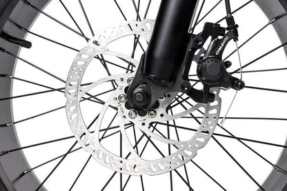 Rattan LM 750W Motor 48V 13AH Battery Fat Tire Foldable Electric Bike