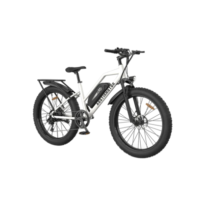 Aostirmotor S07-G Fat Tire Step Thru City Commuter 750W Ebike